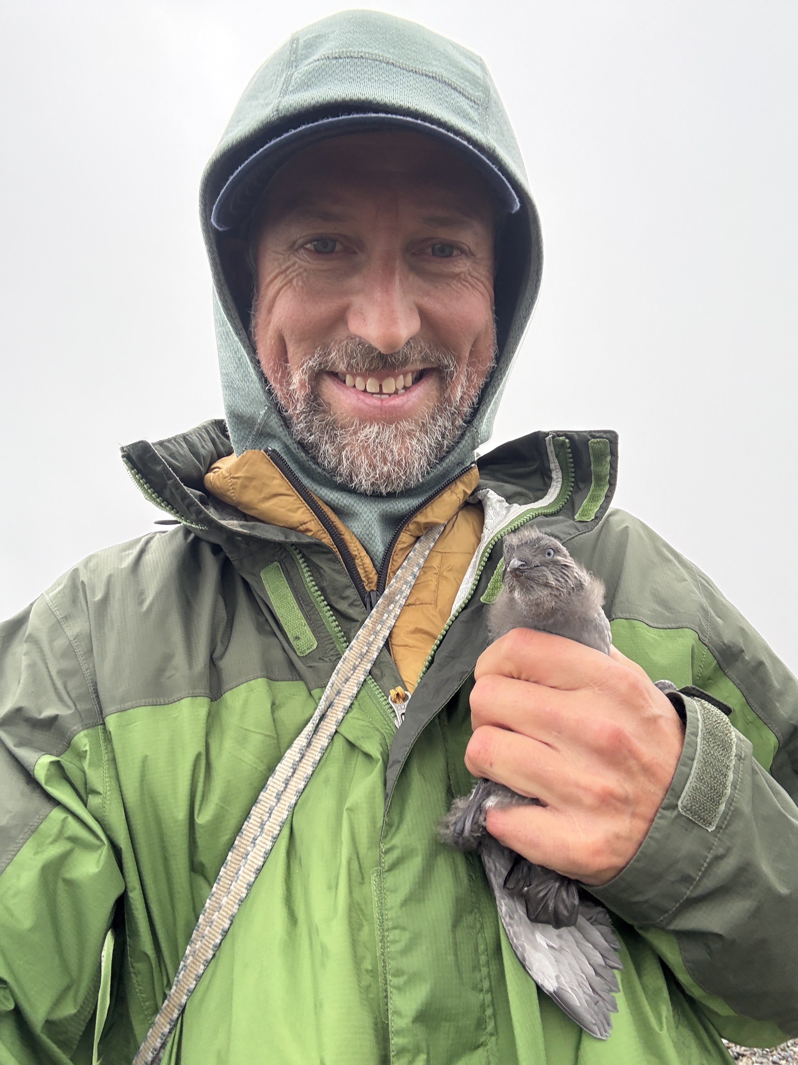 Man holding bird in rain